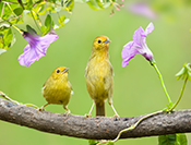 sue hsu's photo